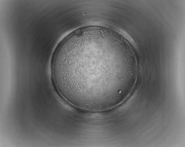 X0000112381028200908131525