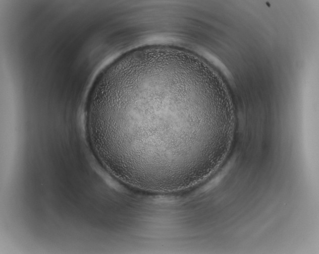 X0000112381029200908131525