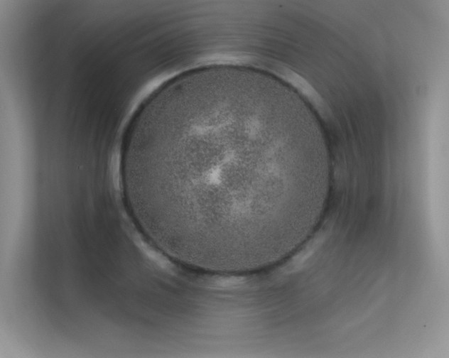 X0000112381030200908131525