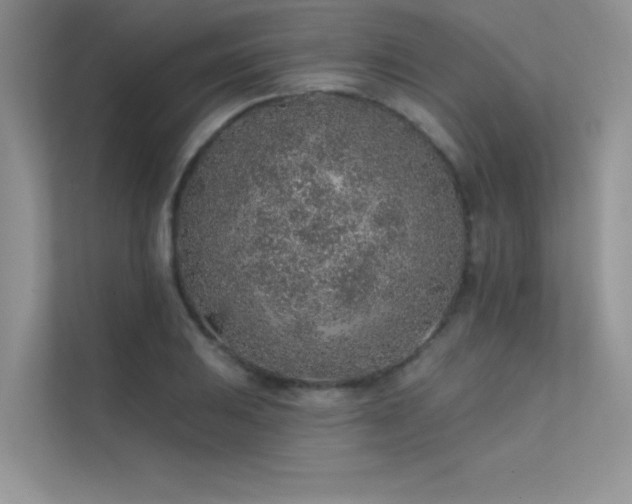 X0000112381031200908131525