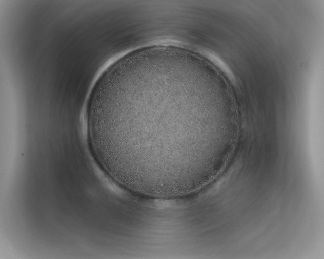 X0000112381032200908131525