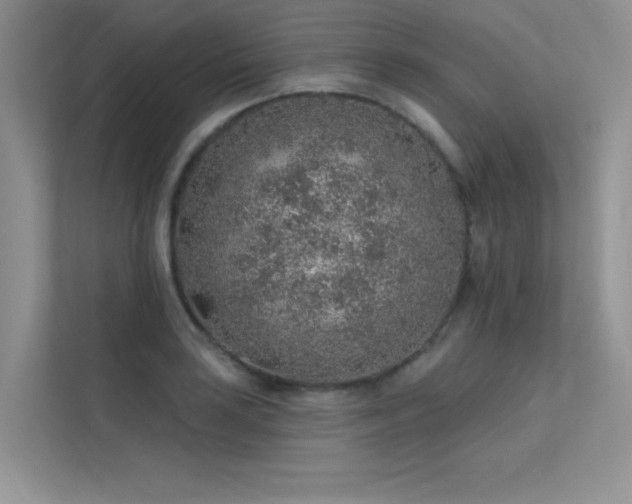 X0000112381035200908131525