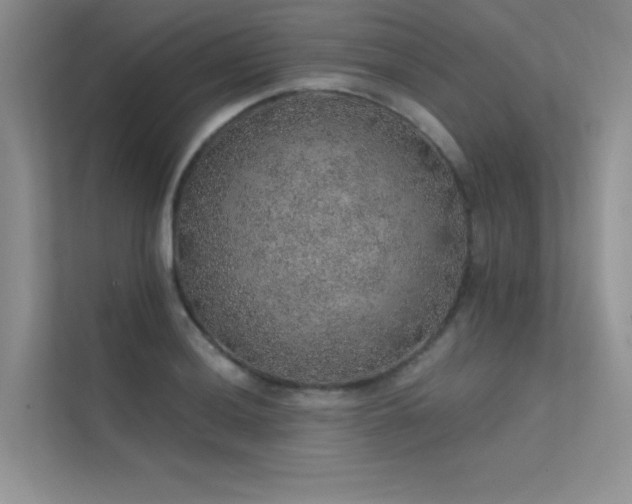 X0000112381036200908131525