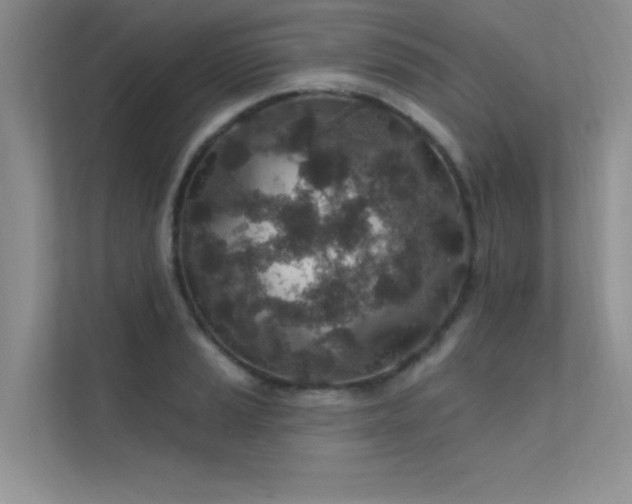 X0000112381037200908131525