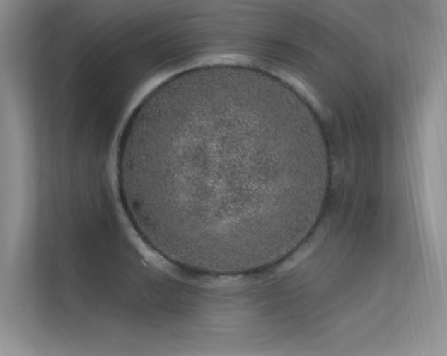 X0000112381038200908131525