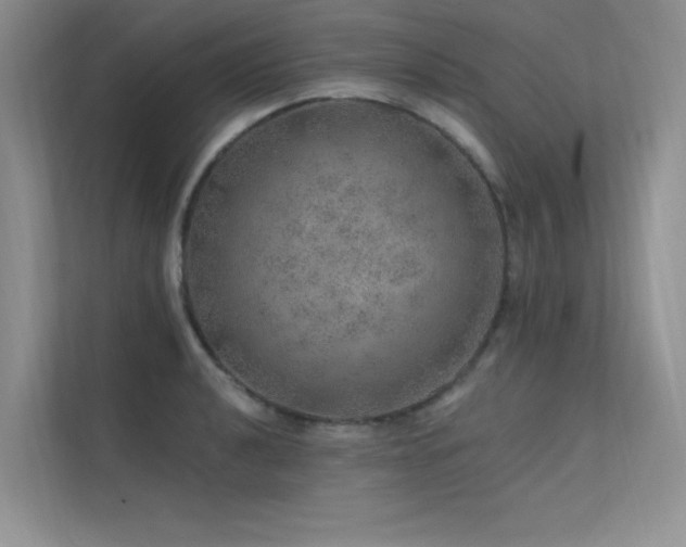 X0000112381040200908131525