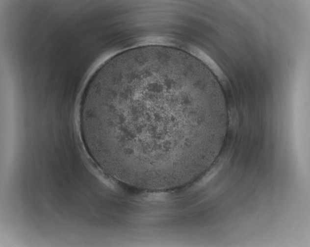 X0000112381043200908131525