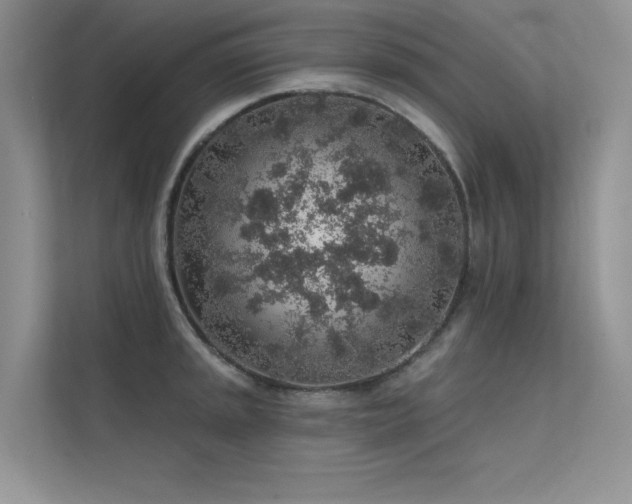 X0000112381045200908131525