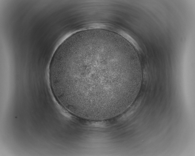 X0000112381047200908131525