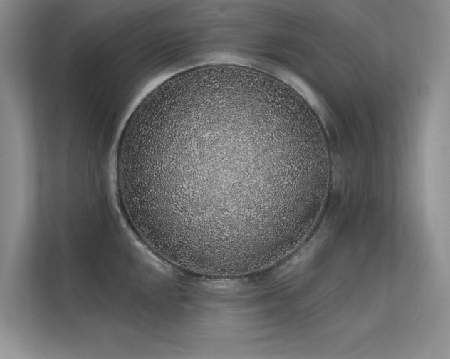 X0000112381048200908131525