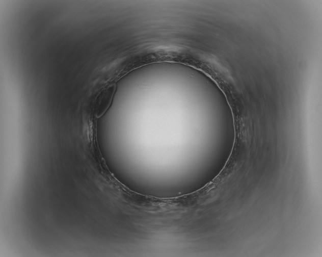 X0000112381061200908131524