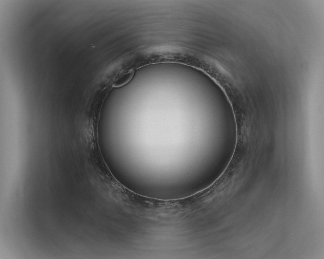 X0000112381062200908131524