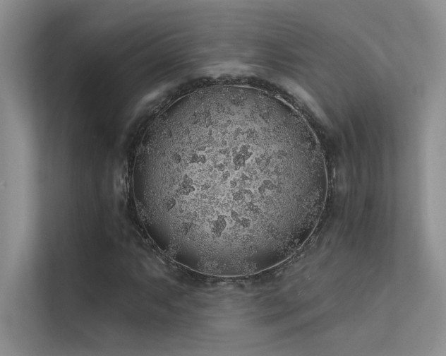 X0000112381063200908131524