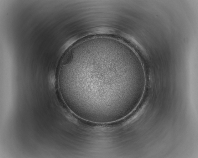 X0000112381065200908131524