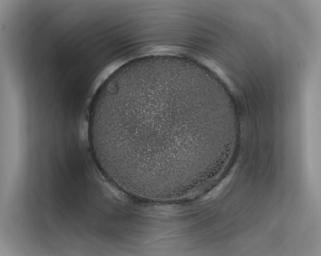 X0000112381066200908131524