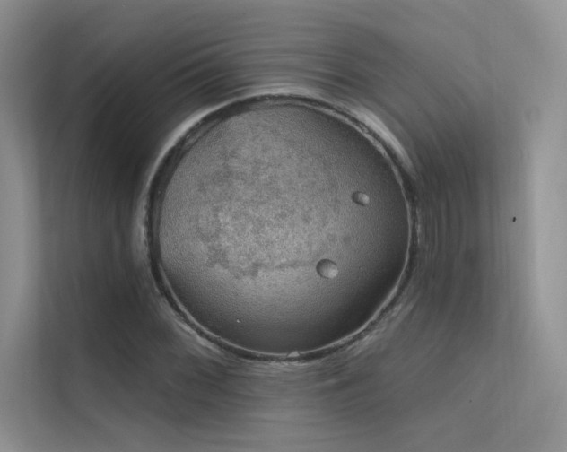 X0000112381068200908131524