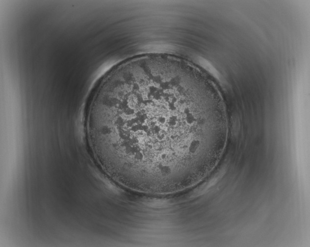 X0000112381071200908131524