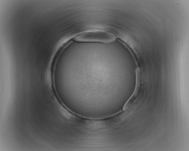 X0000112381072200908131524