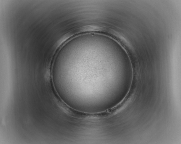 X0000112381073200908131524