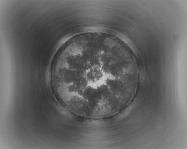 X0000112381074200908131524