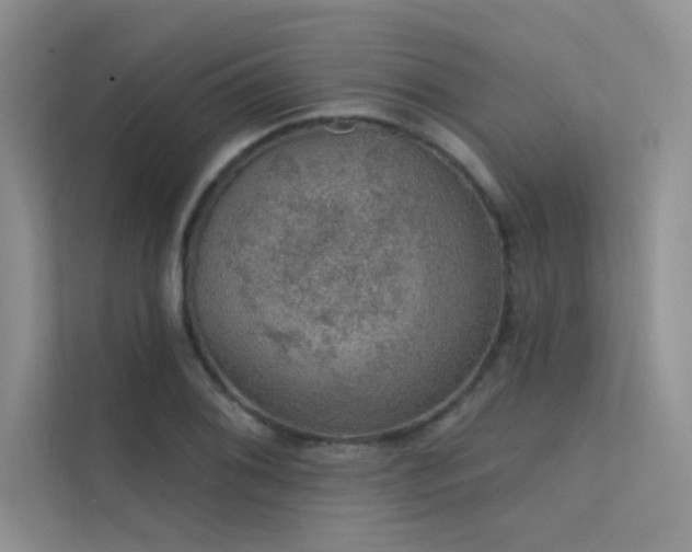 X0000112381076200908131524