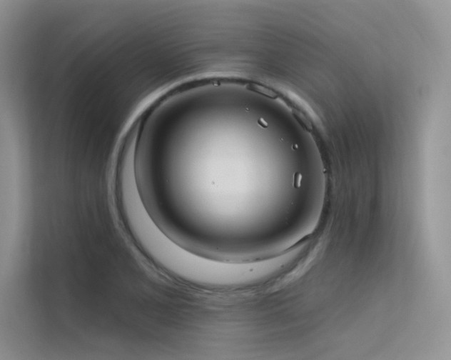 X0000112381077200908131524