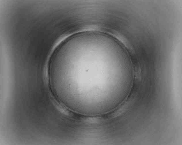 X0000112381078200908131524