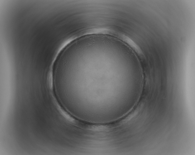 X0000112381079200908131524