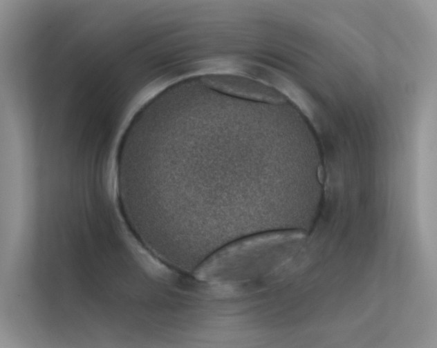 X0000112381080200908131524