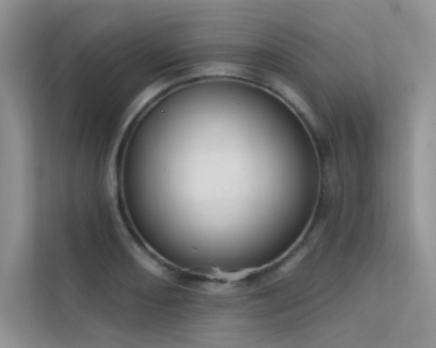 X0000112381082200908131524