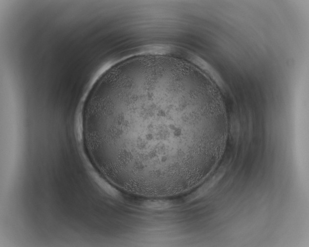 X0000112381083200908131524