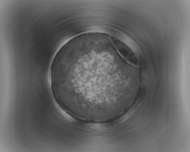 X0000112381084200908131524