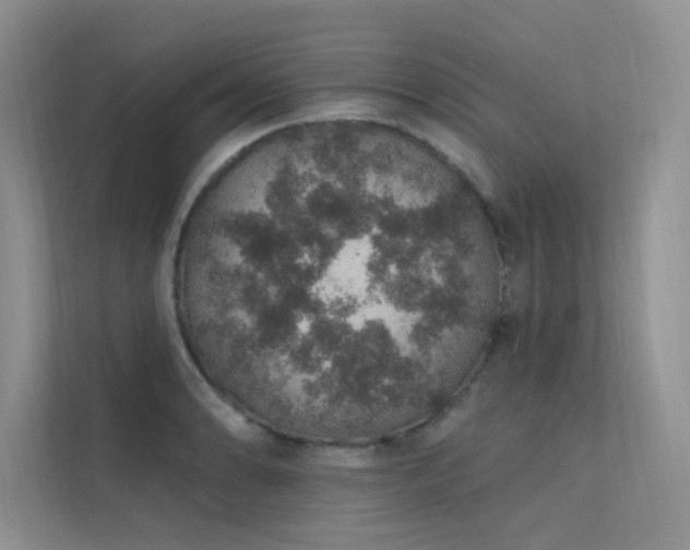 X0000112381086200908131524