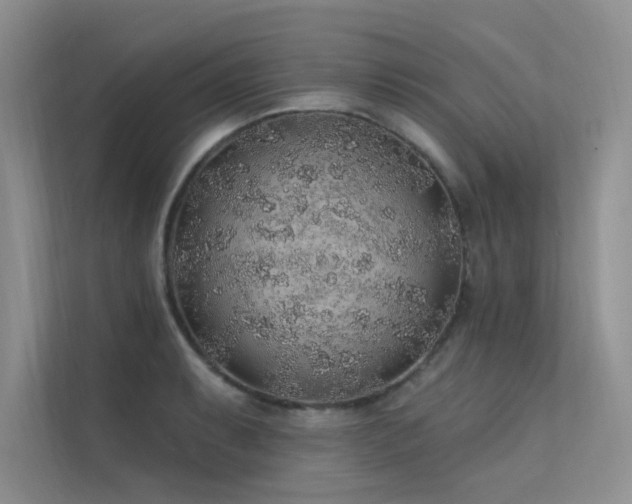 X0000112381087200908131524