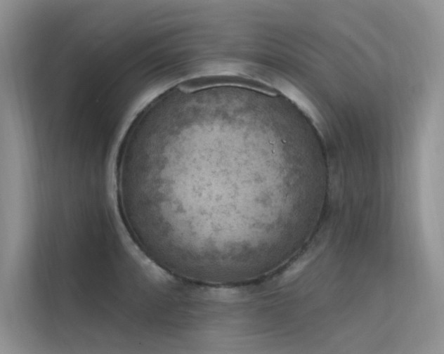 X0000112381088200908131524