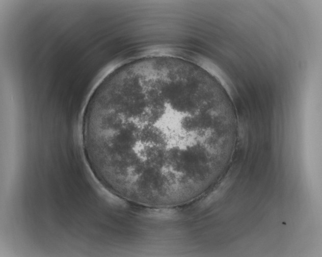 X0000112381090200908131524