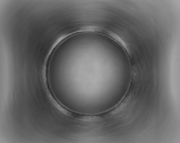 X0000112381091200908131524