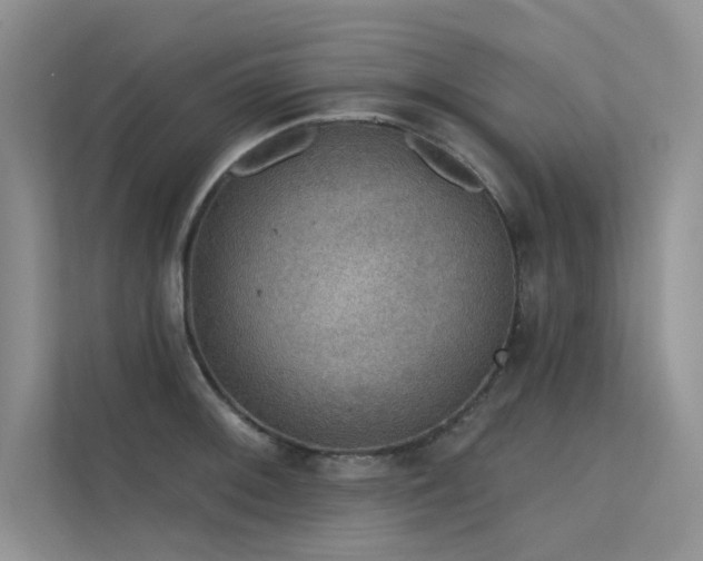 X0000112381092200908131524