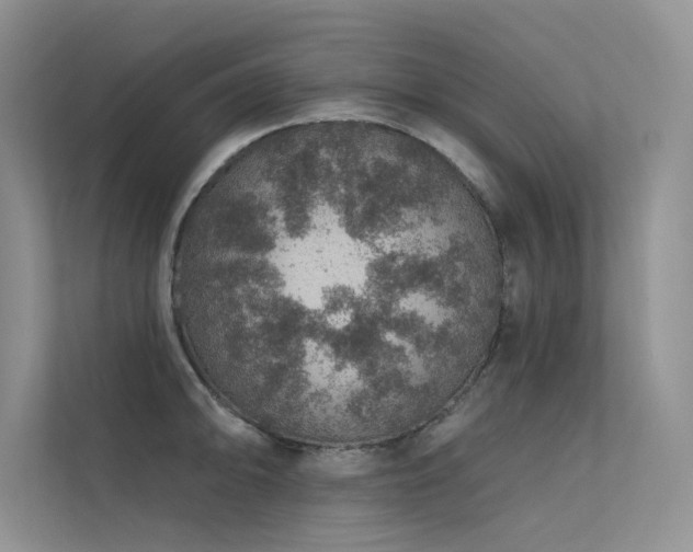 X0000112381094200908131524