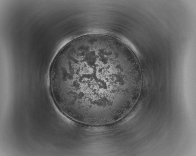 X0000112381095200908131524