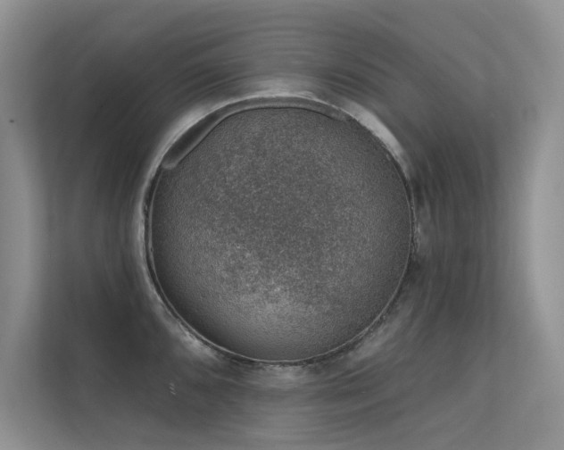 X0000112381096200908131524