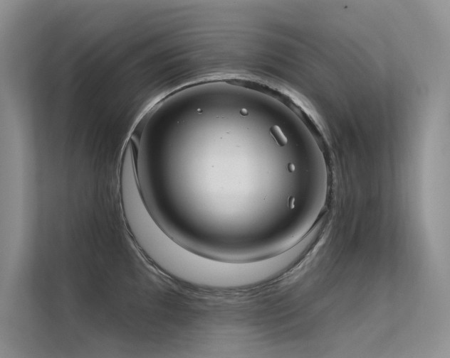 X0000112381097200908131524