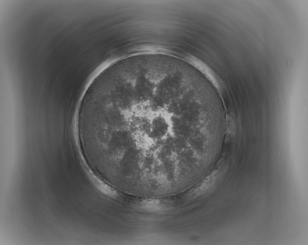 X0000112381098200908131524