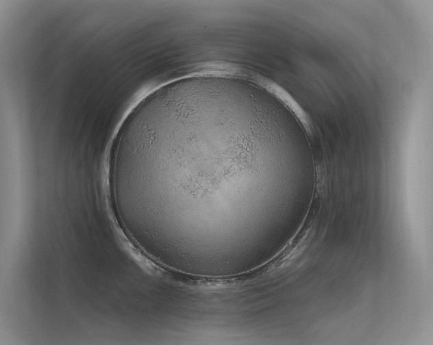 X0000112381099200908131524