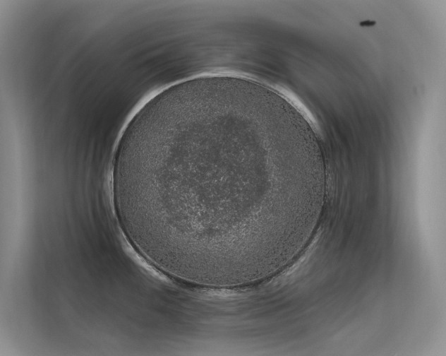 X0000112381100200908131524