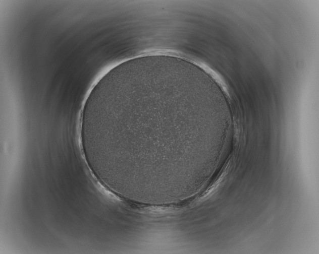 X0000112381102200908131524