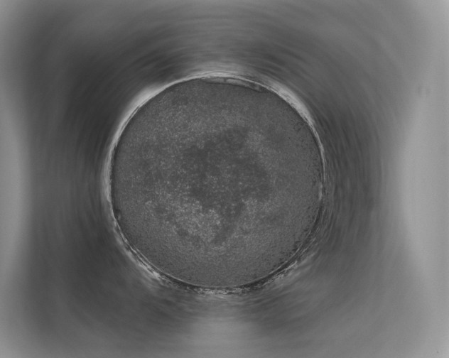 X0000112381104200908131524