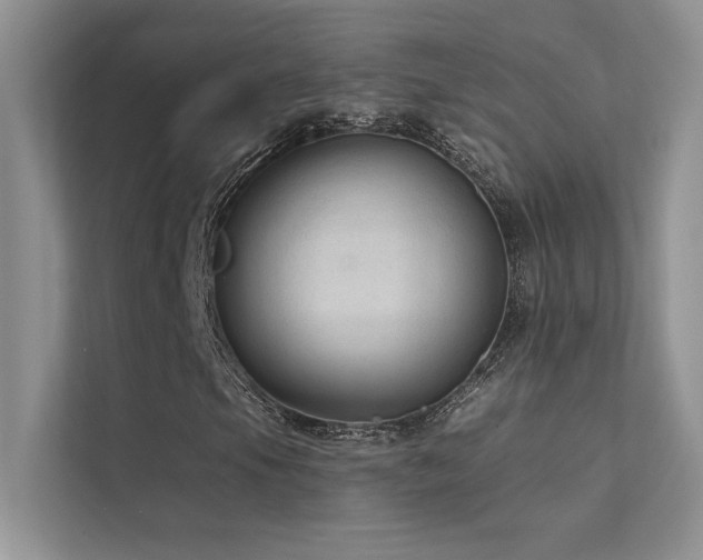 X0000112381105200908131523