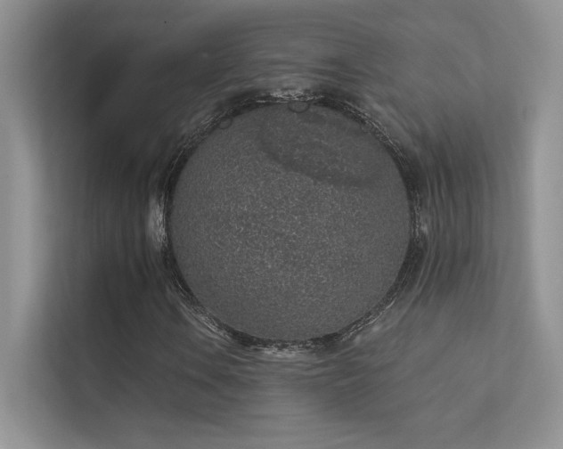 X0000112381106200908131523