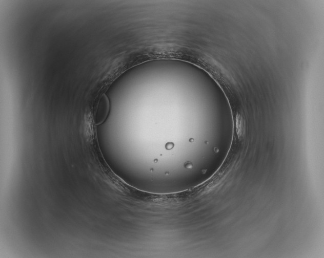 X0000112381107200908131523